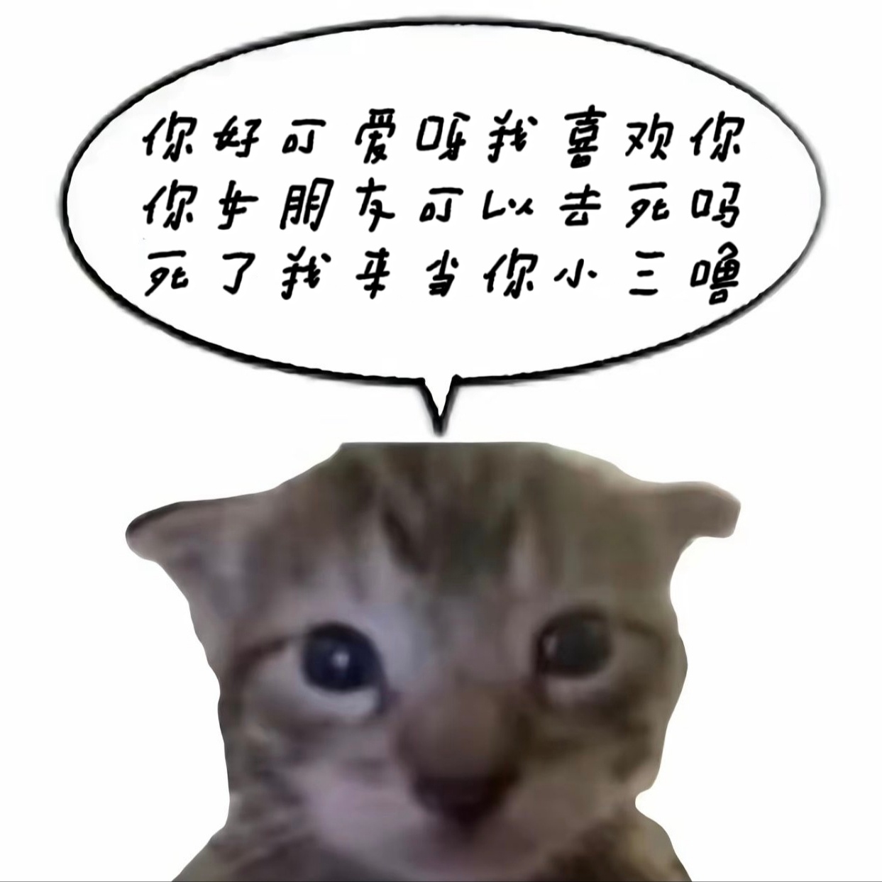 我们当小三的就像蜜雪冰城的切片柠檬 知道过夜不对 但有时也会心存侥幸 直到出事后