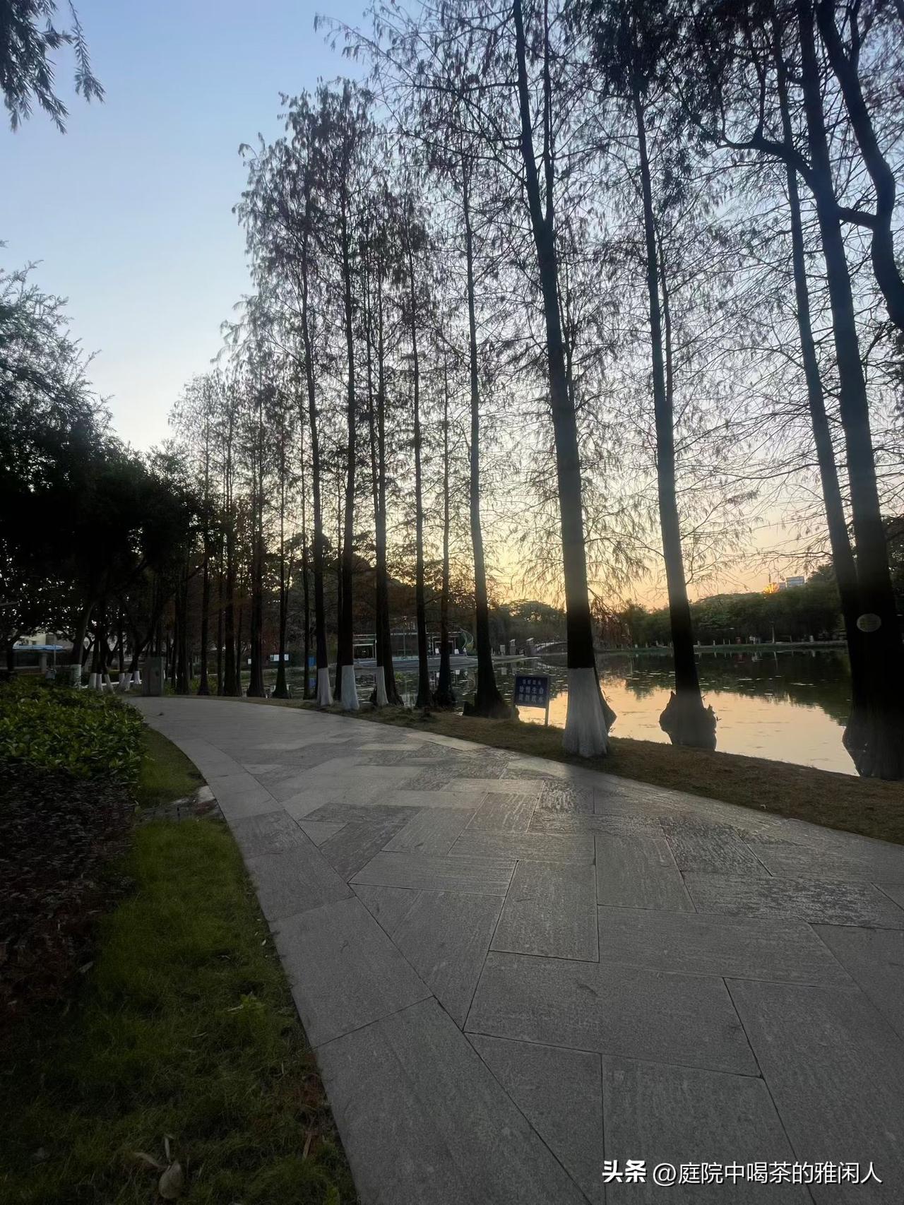 44岁中年财务牛马，在纠结了五天后，决定跟老板提出辞职。一周前工作出了个小瑕