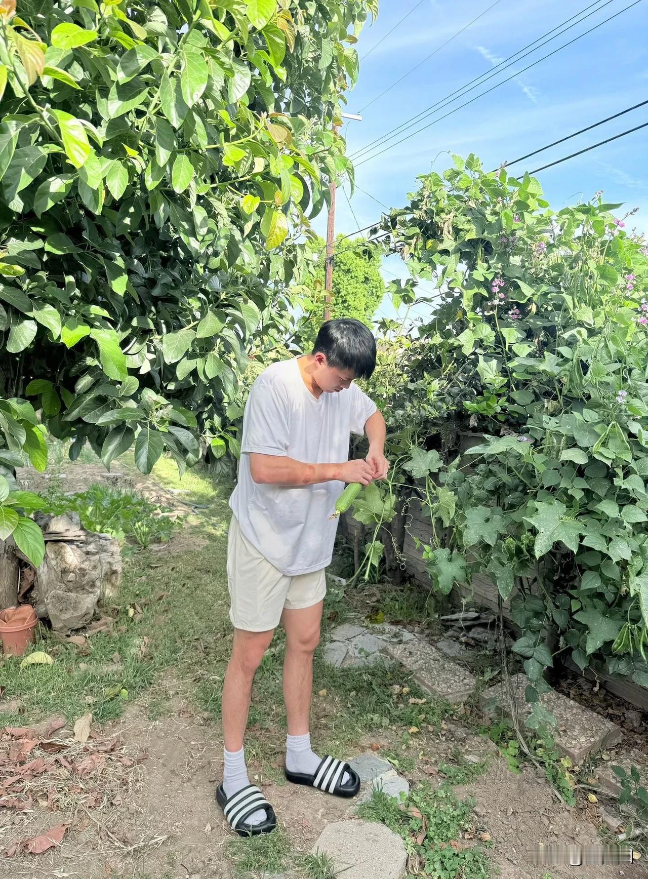 林葳社媒晒照，并配文:近期。有人说林葳这是在告诉球迷，自己最近有空，是郭士强不选