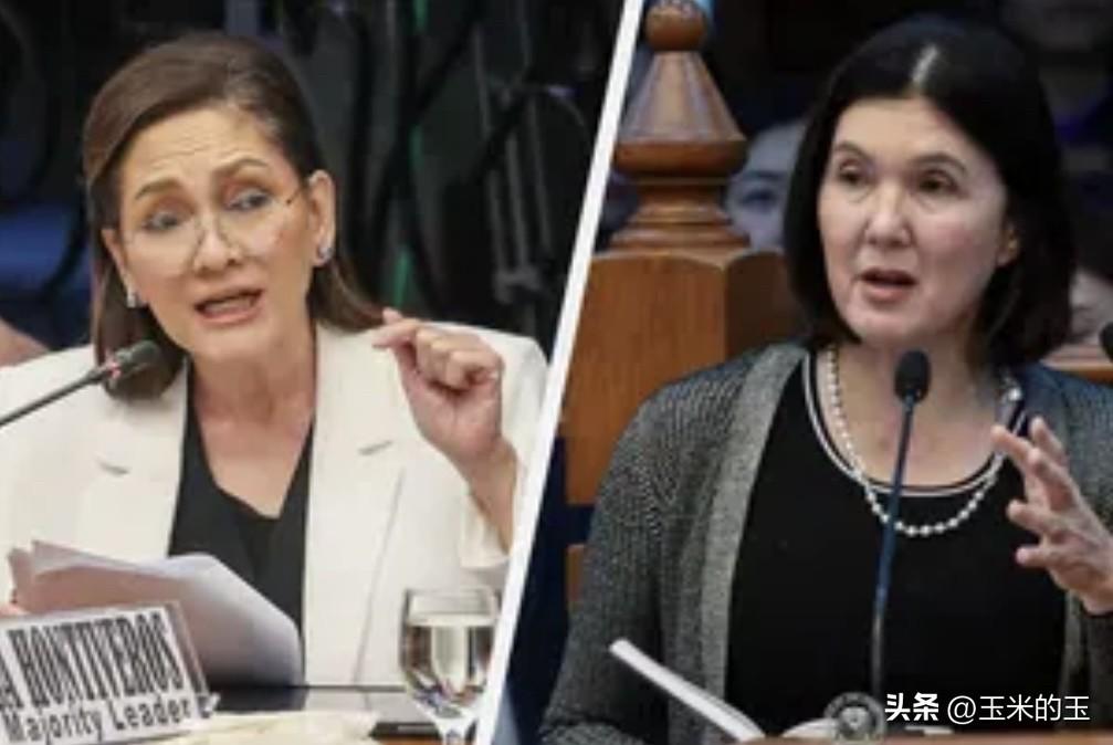 在拟议的《反医院拘留法》菲律宾参议院修正阶段，主要提案人瑞萨·洪蒂弗罗斯参议员与