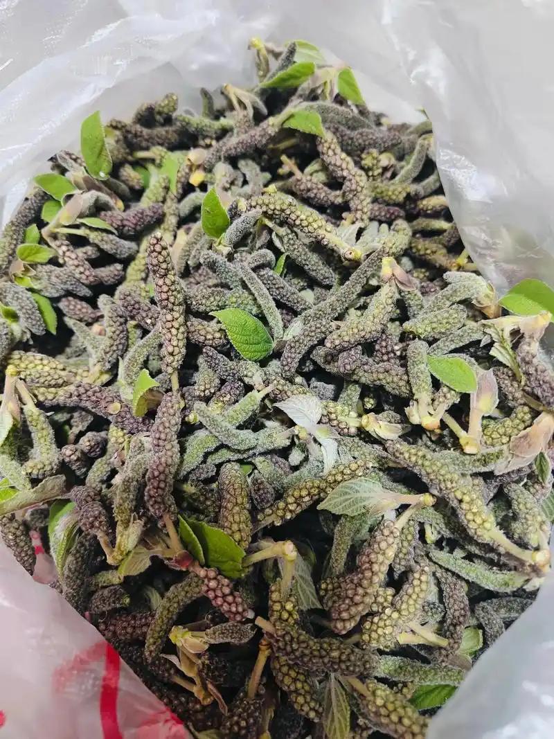 城里人天天从这棵树下走过，却不知道春天它能上桌吃，楮不揪挂在枝头，活脱脱一条绿毛