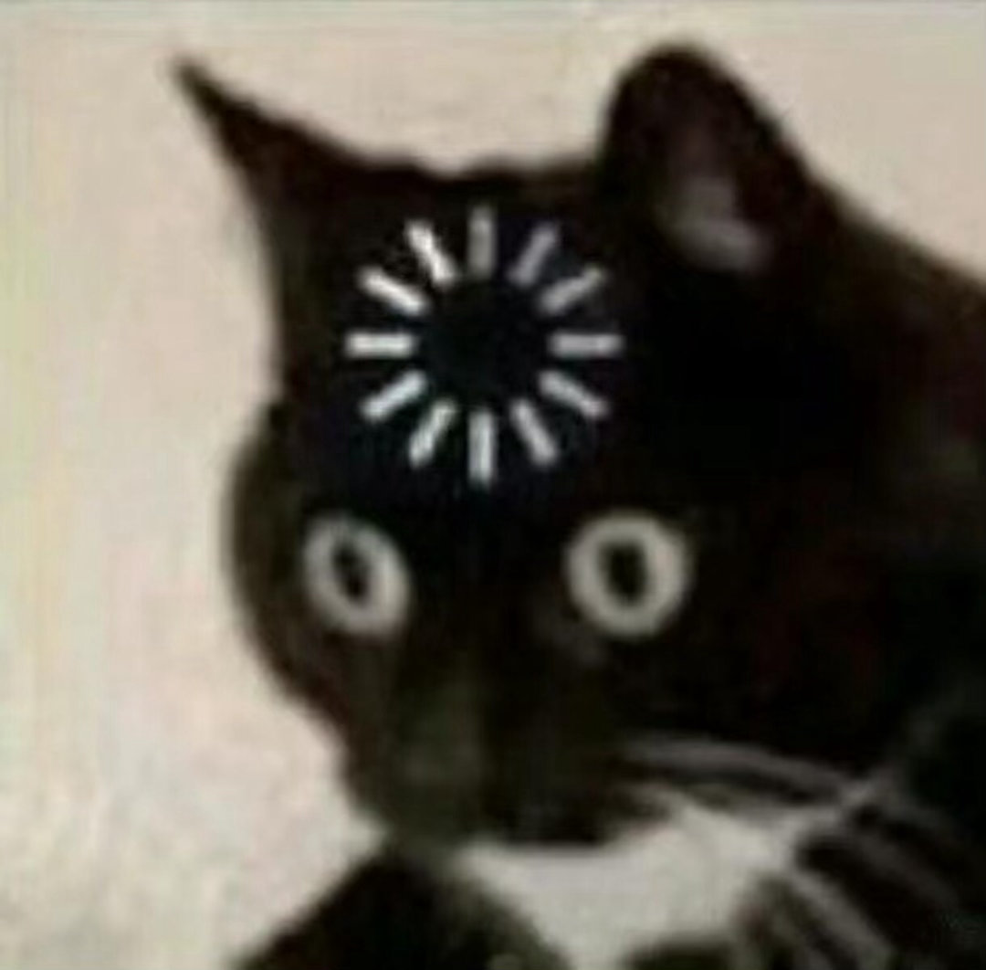 被千年古松的生命力震撼了 一棵树能在石头缝里活一千年，靠的是根扎十几米深，找水喝