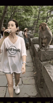 你真以为山中无老虎呢？😡