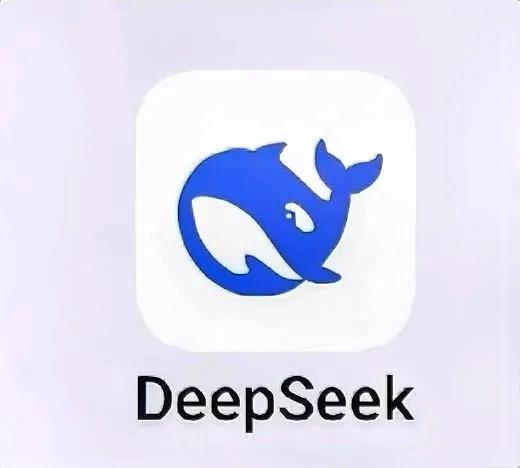 我也下载了 DeepSeek，确实不错。只不过有一种担忧在心。害怕这么好用的软件