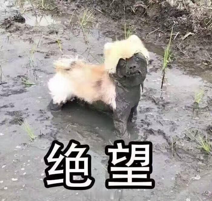女孩子一定要远离面包车这个tag让我想起十几年前的一件事…当时我沿着路边骑车….