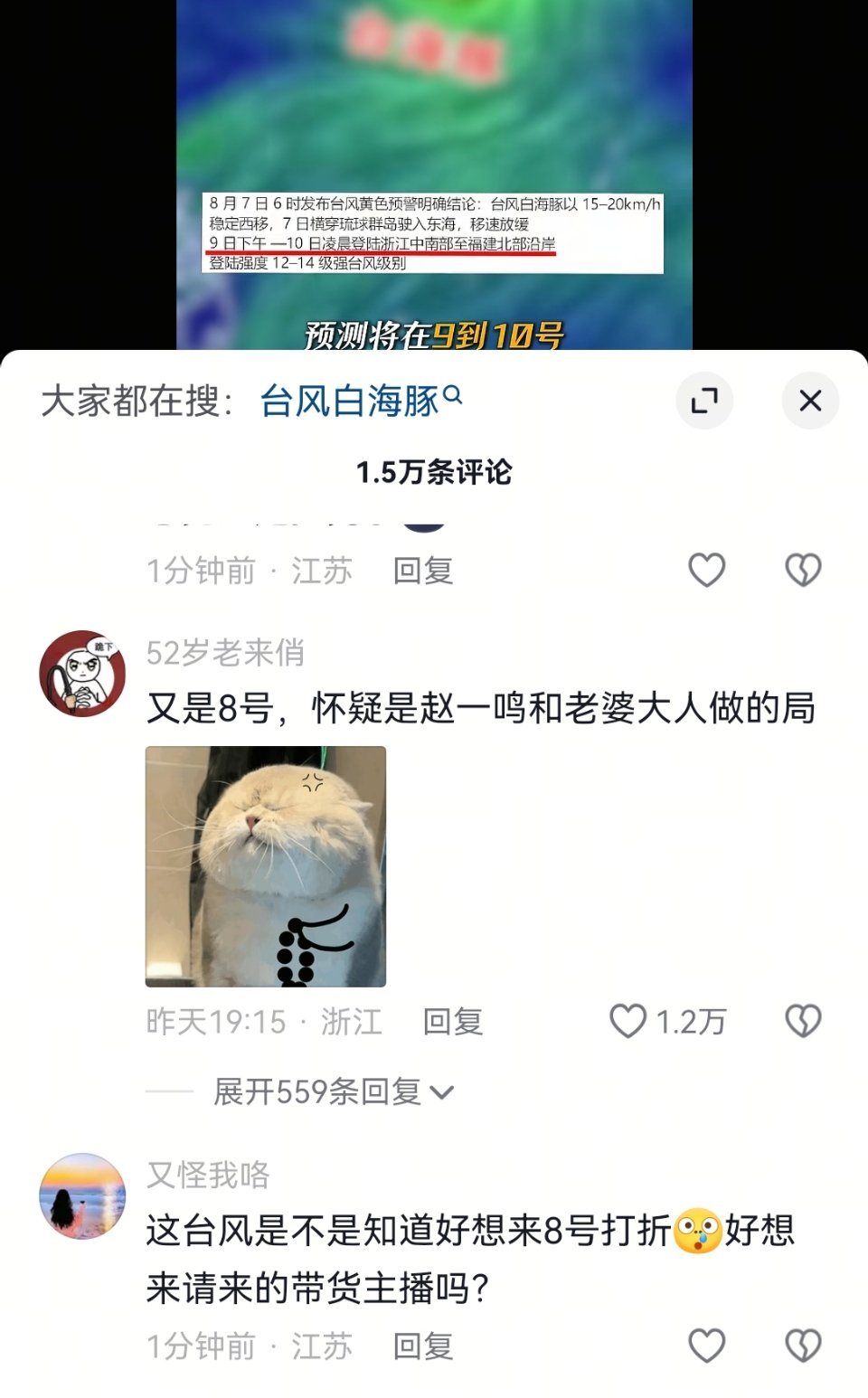 台风白海豚好想和评论区的诸位畅聊一整天 