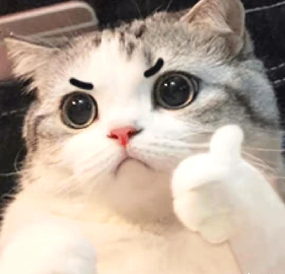 阿姨用AI一秒识破保健品骗局。这个画面的冲击力太强了。骗子们精心设计的谎言。在科