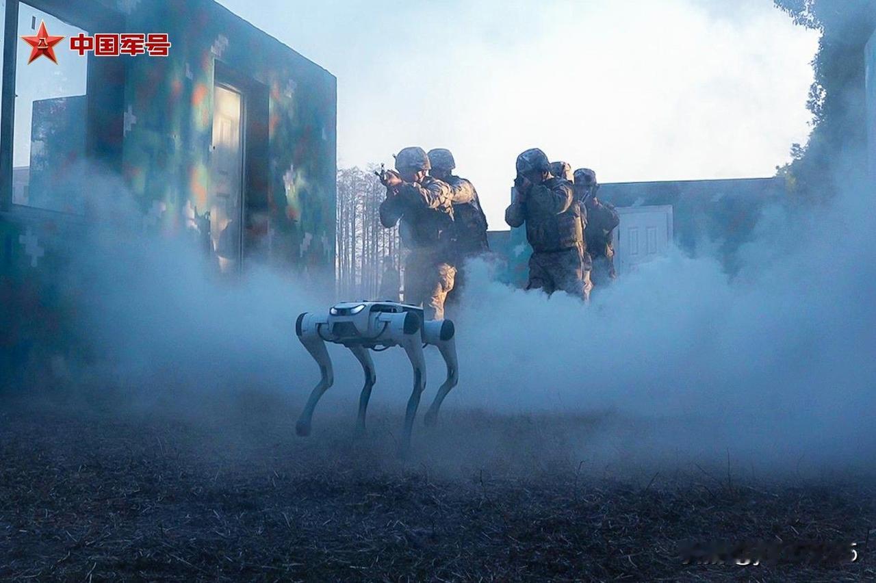 近日，武警湖北总队孝感支队组织官兵开展冬季大练兵活动，结合驻地环境特点，开展丛林