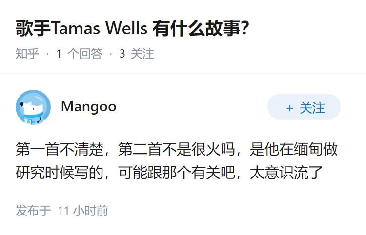 歌手Tamas Wells 有什么故事？