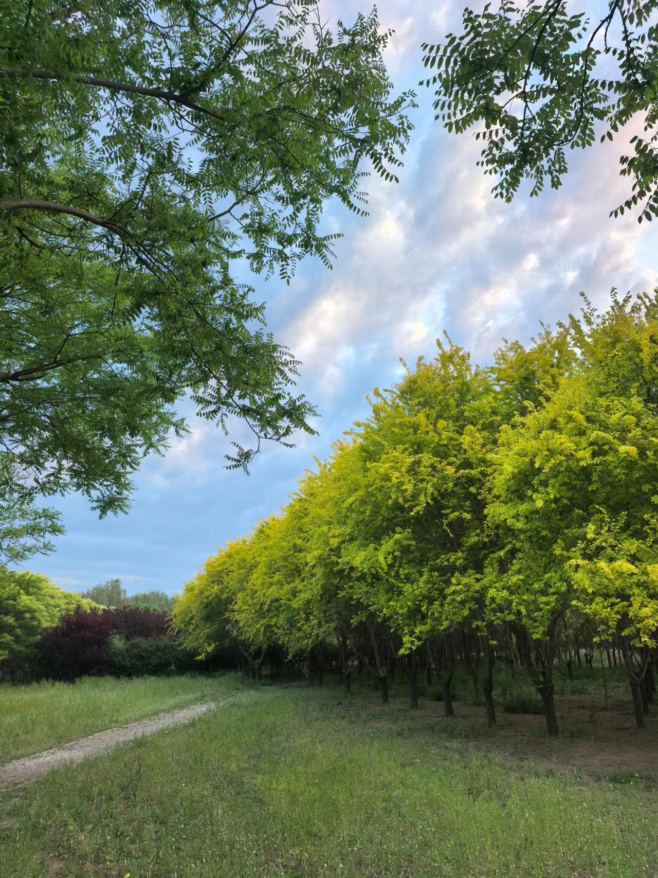 春日生活打卡季4月28日，清晨的太阳缓缓挣脱云层，一下子铺满大地。连日积攒的阴沉