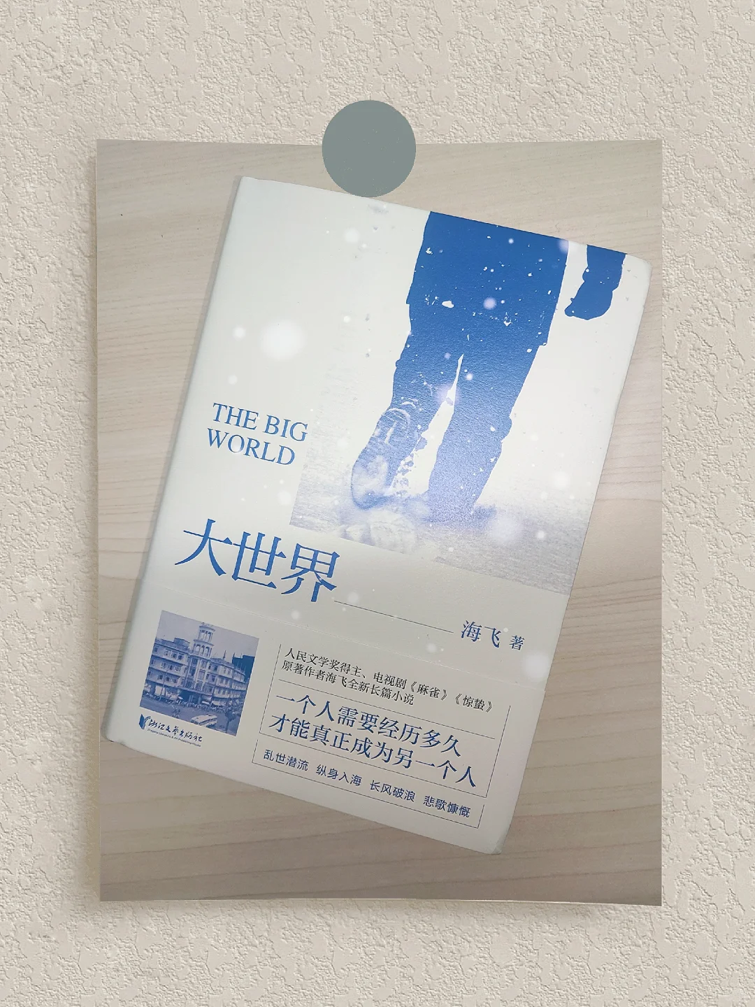 📚《大世界》|喜欢谍战小说的有福了🔥
