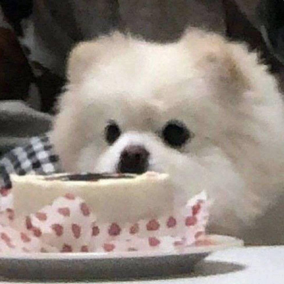 𝐀𝐯𝐚𝐭𝐚𝐫｜审汪积累 允许你萌混过关🦴=0 ω 0= 