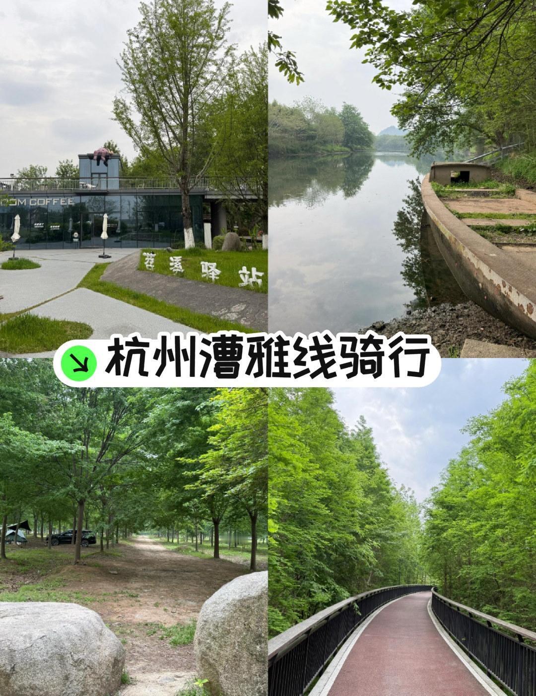 宝子们！全国最美农村路的漕雅线精华段太绝了！9km路程浓缩江南美景，新手也能轻松