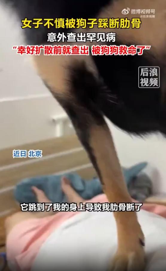解释不清了！北京一只80斤重的牧羊犬，突然扑到主人身上，竟把她踩成骨折。可谁也没