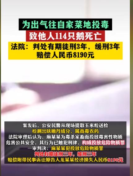 “这样下去连空气都要讹了？” 湖南，男子辛辛苦苦种的油菜，被村民家养的家畜啃食，