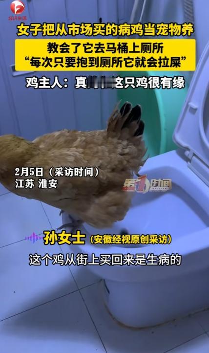 万万没有想到，江苏，一女子从市场买到一只病鸡，而治好鸡后女子本打算把它吃了，结果