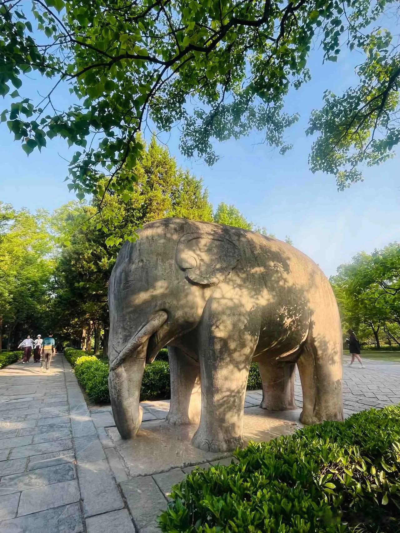 明孝陵～穿越六百年的时空对话🍀