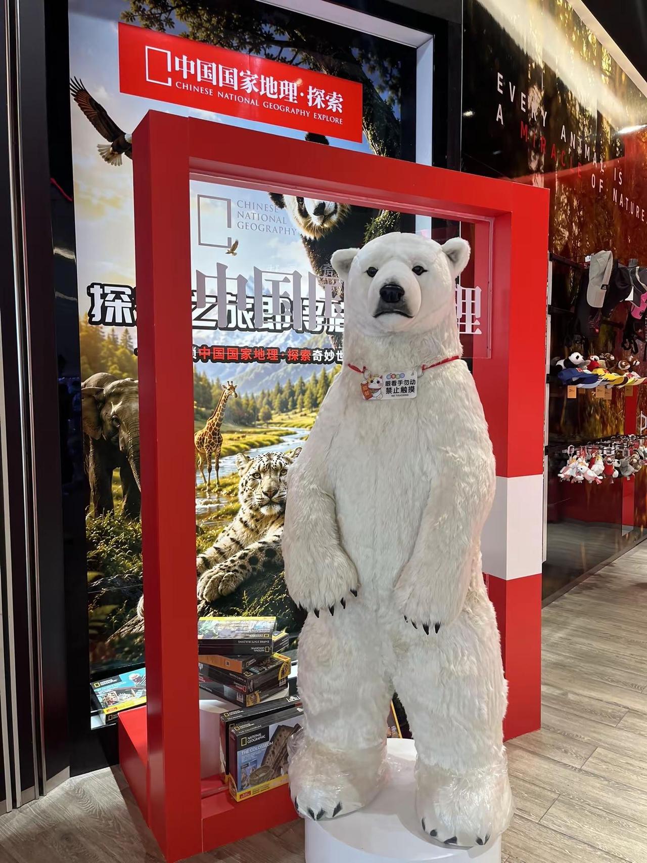 🐻‍❄️🐼🦁🐯🐆🦒🐒🦈 逛到【中国国家地理·探索】门店发现好多动