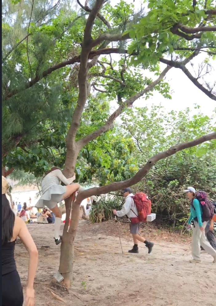 近日，社交平台小红书兴起一股“抱树打卡”热潮，不少人声称拥抱树木可舒缓都市生活压