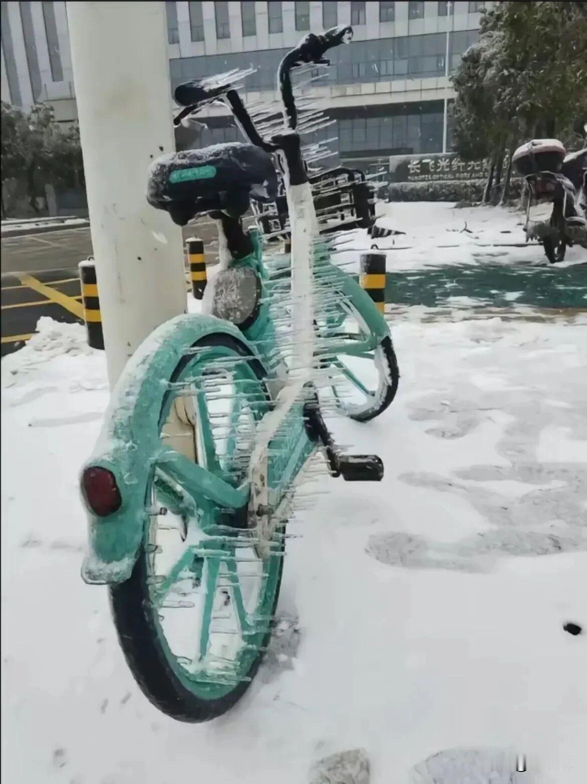 生活告诉我们：暴雪不可怕，最可怕的是冻雨！
冻雨后的景色很美，可带来的灾害也是史
