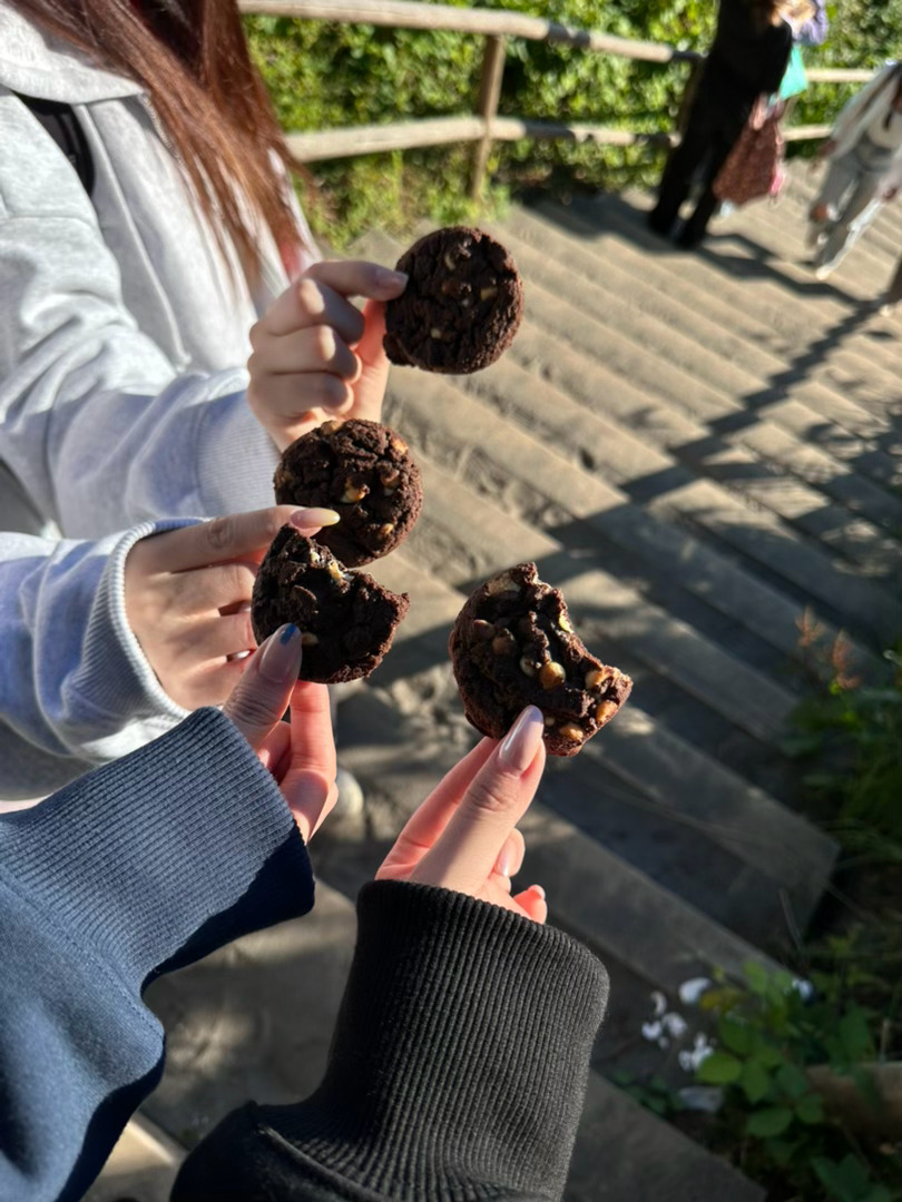 🍪 
