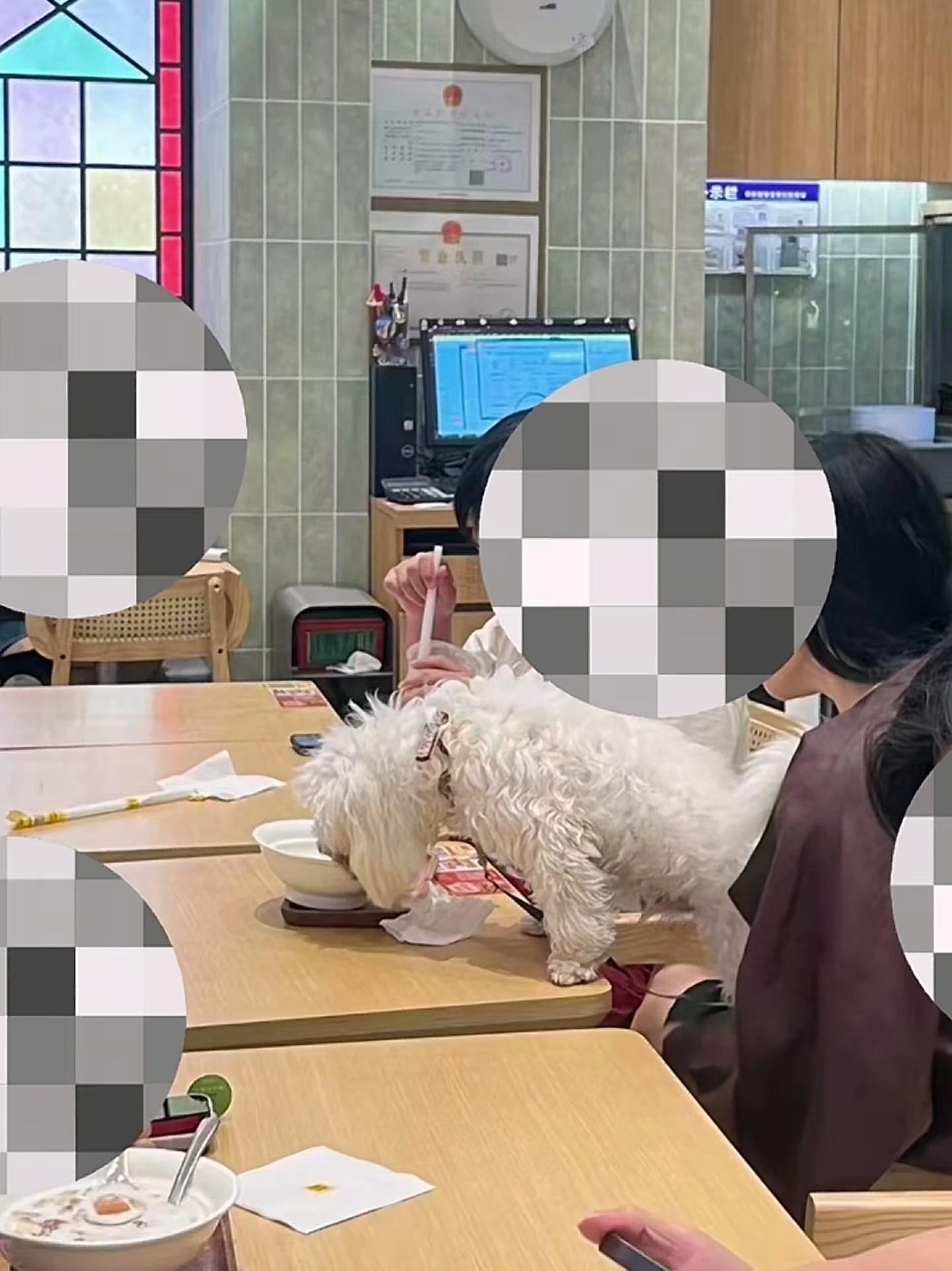 我闻到了淡淡的热搜味… 