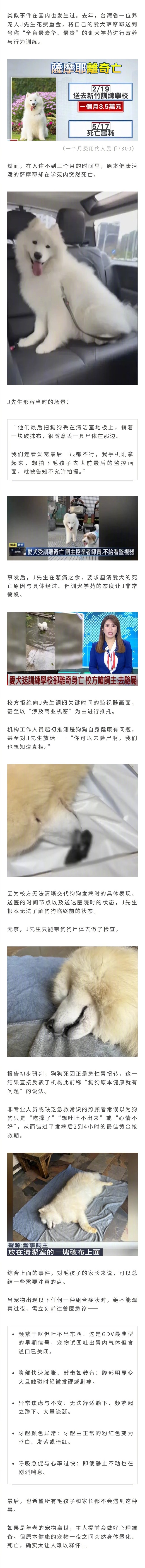 狗狗因吃饭太快突然去世！初期症状没引起警惕，主人痛哭：希望所有毛孩子家长都能小心