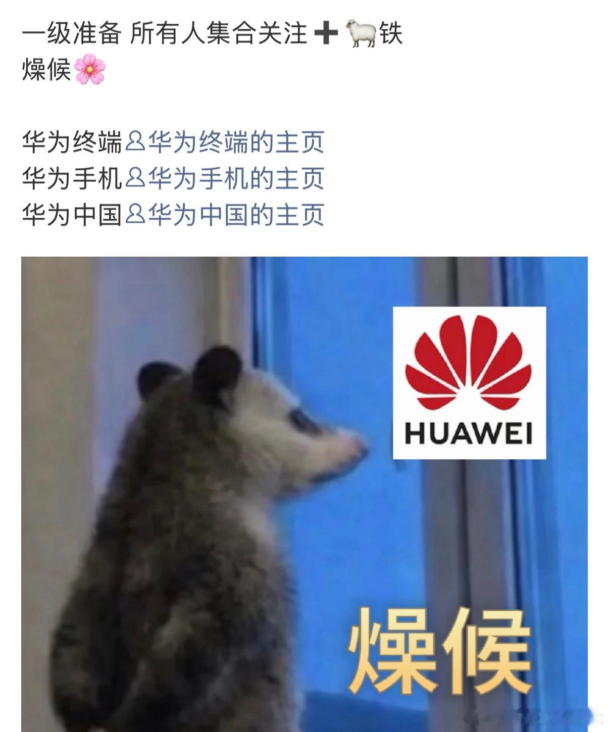 tg：团 发话了！🌸真的要来了！！ 