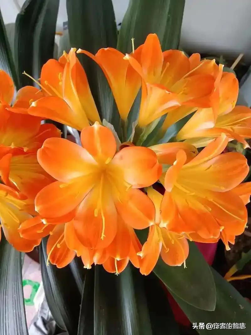 人都有两面性，一面是“君子”另一面就是小人。关键是自身修养让君子一面逐渐战胜小人