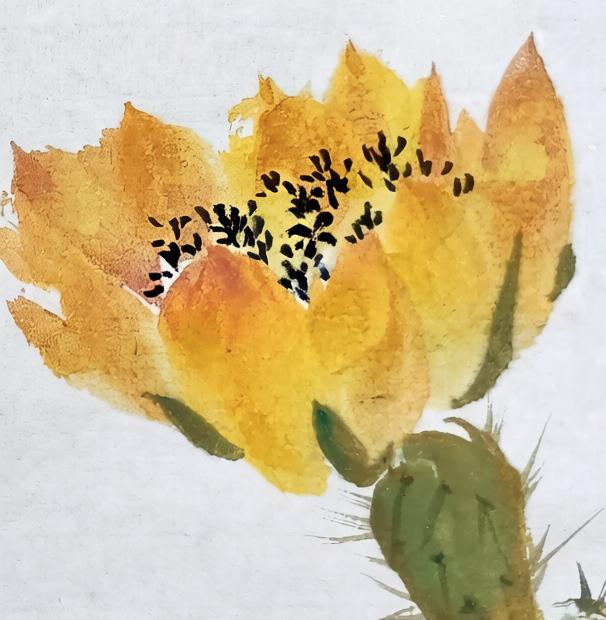 仙人掌花