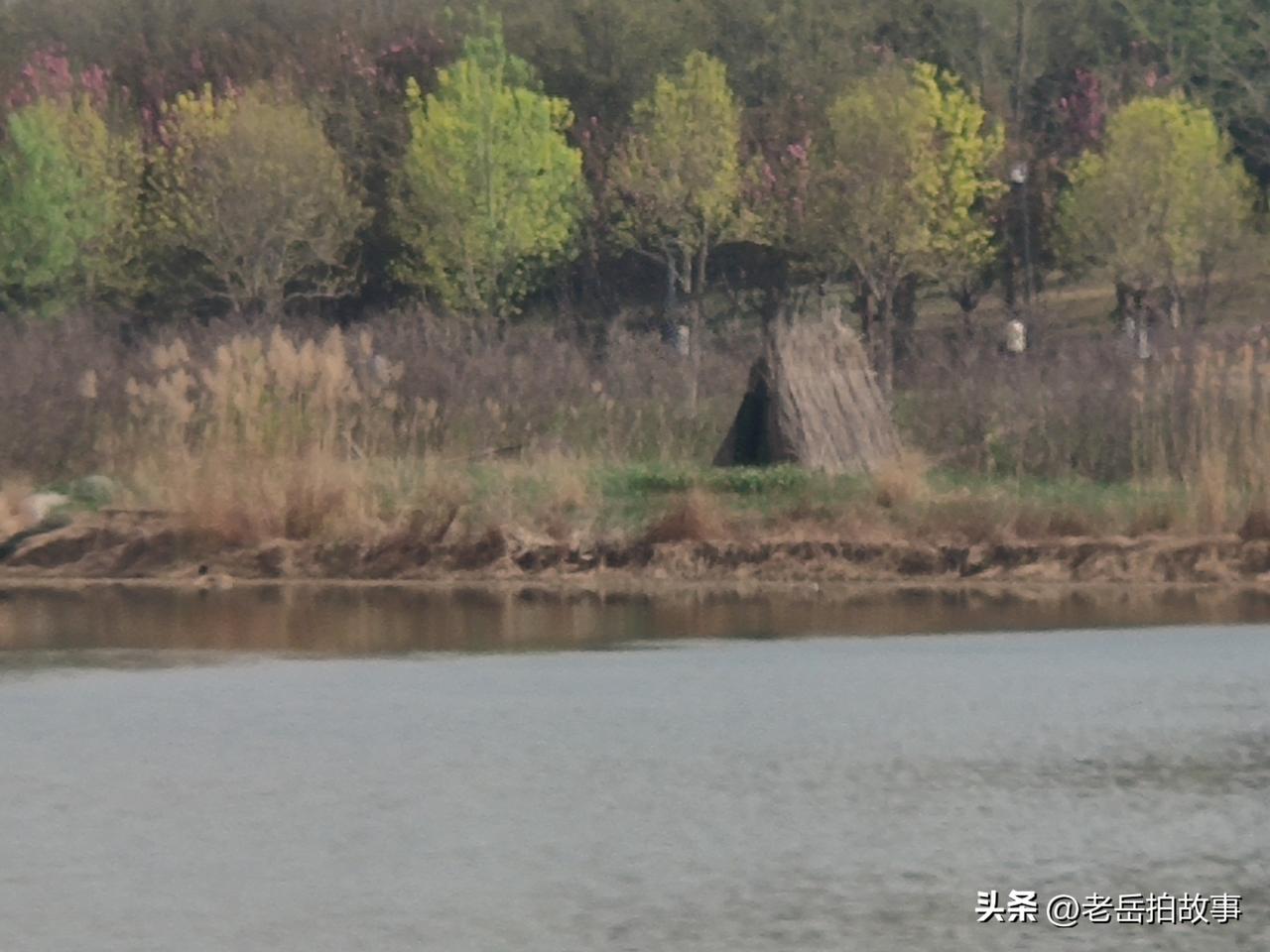 湖心岛上有个“看瓜棚”！西流湖公园几乎不隔几天不去，对于那里的一草一木，一石一湖