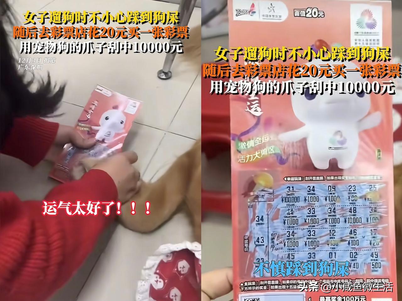 这波狗屎运也太绝了，小说都不敢这样写！

看到一条新闻报道，广东深圳的吴女士去遛