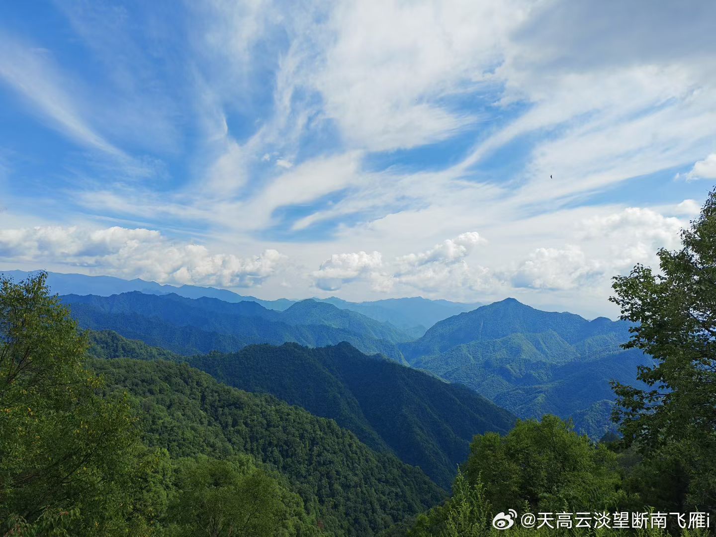 各位财迷早早早，今天8.13，周四，新的一天祝各位点赞评论支持的宝子：四季财气缠