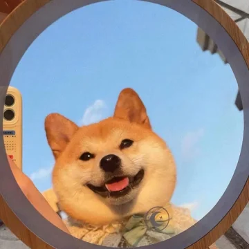 金木木子