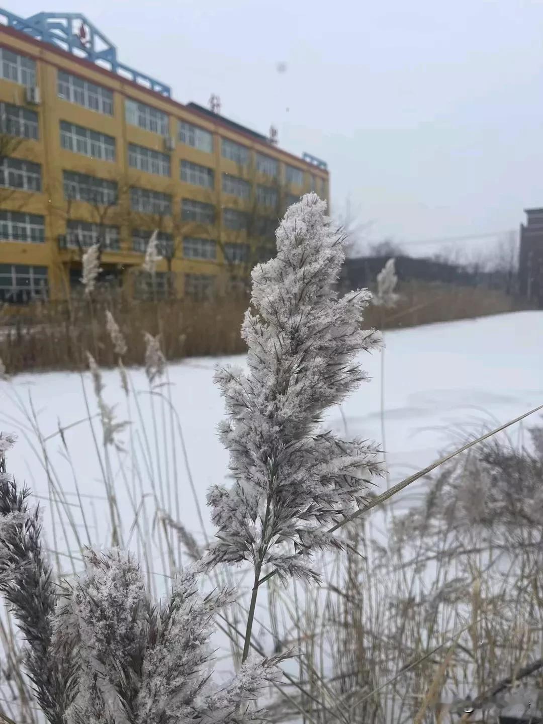 一寒一暖多变天，一字一句祝平安，一早一晚莫受寒，一心一意送温暖，天冷加衣别感冒，