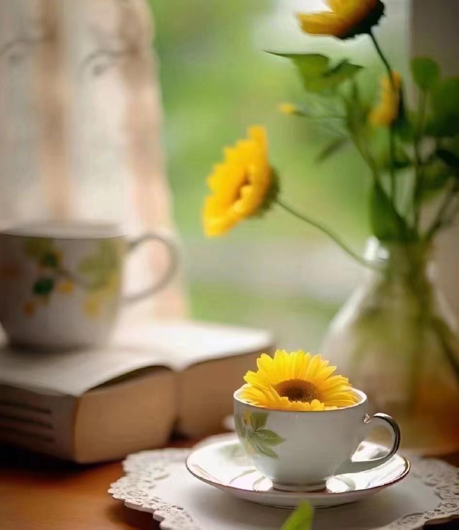 令人彻底清醒的一段话：生活就是见招拆招，提高你解决问题的能力，而不是总困在情绪里