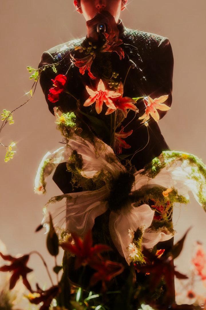 亲吻蝴蝶🦋旧城你爱的是蝴蝶还是玉溪 