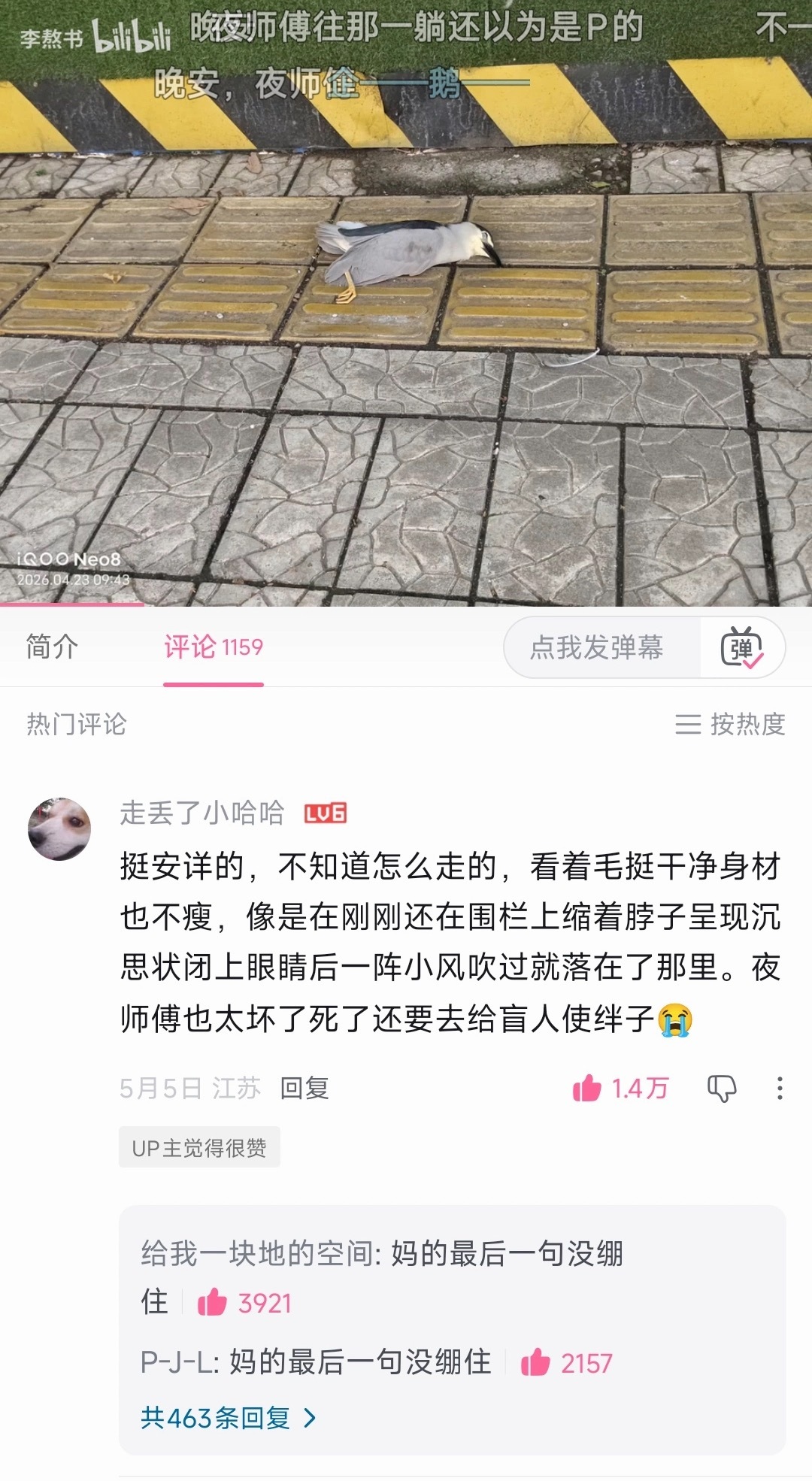啊这 