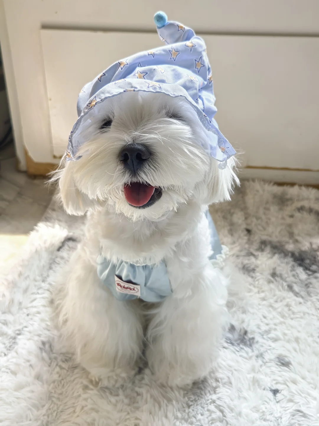 一想到我超级可爱的嫡长子，只是别人眼里