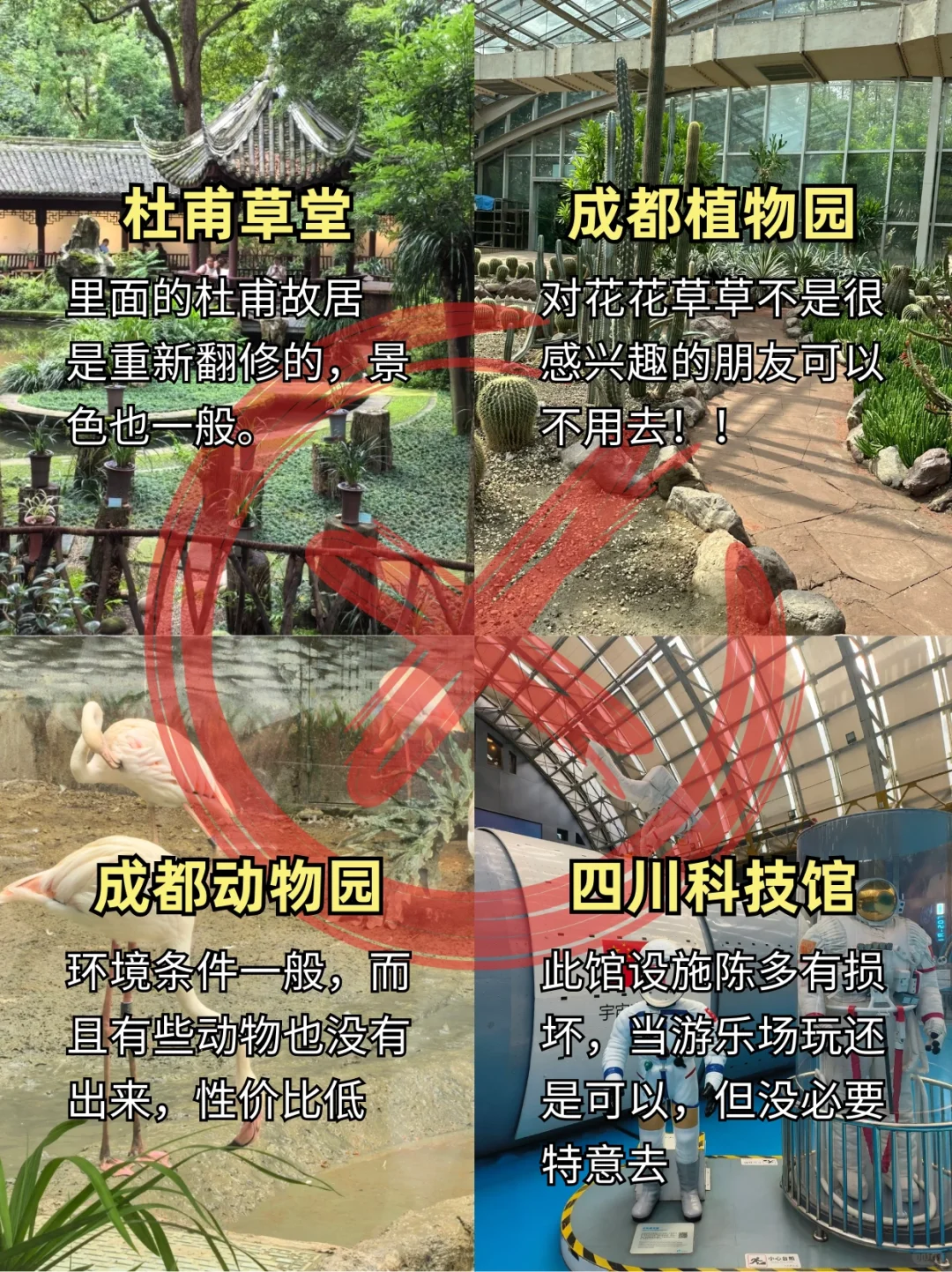刚从成都回来，我的真实体验是…..😤.