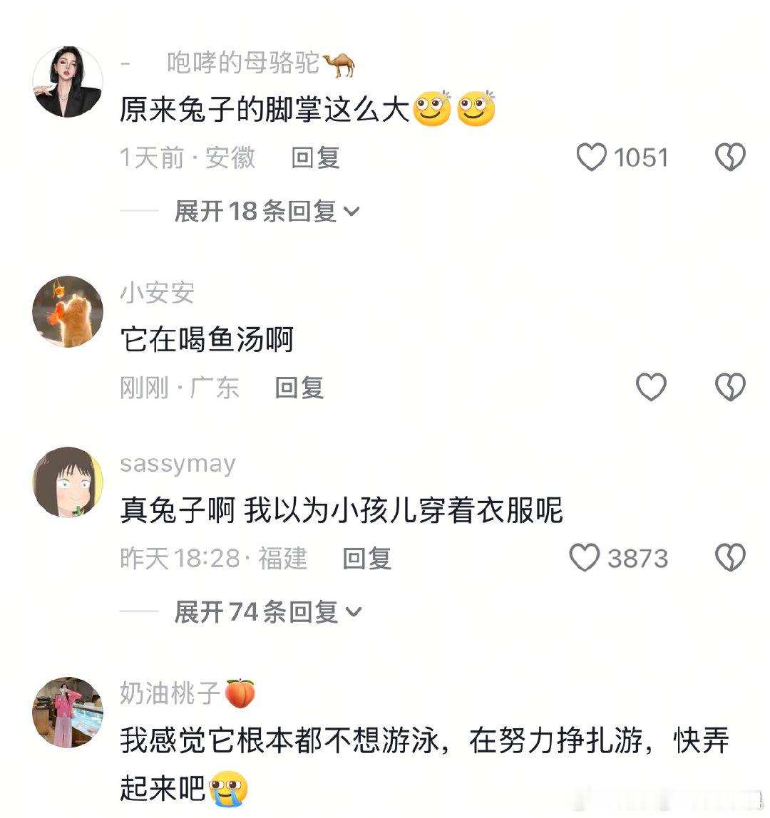 第一次看见兔子游泳，大脚板啊 （