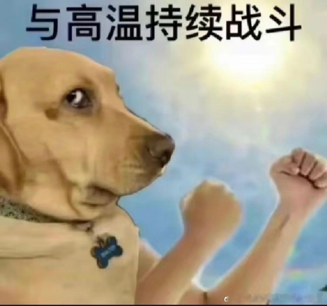 老外被中国避暑游硬控了欧洲多地遭遇极端高温，国外公共制冷设施十分有限，大批外国游