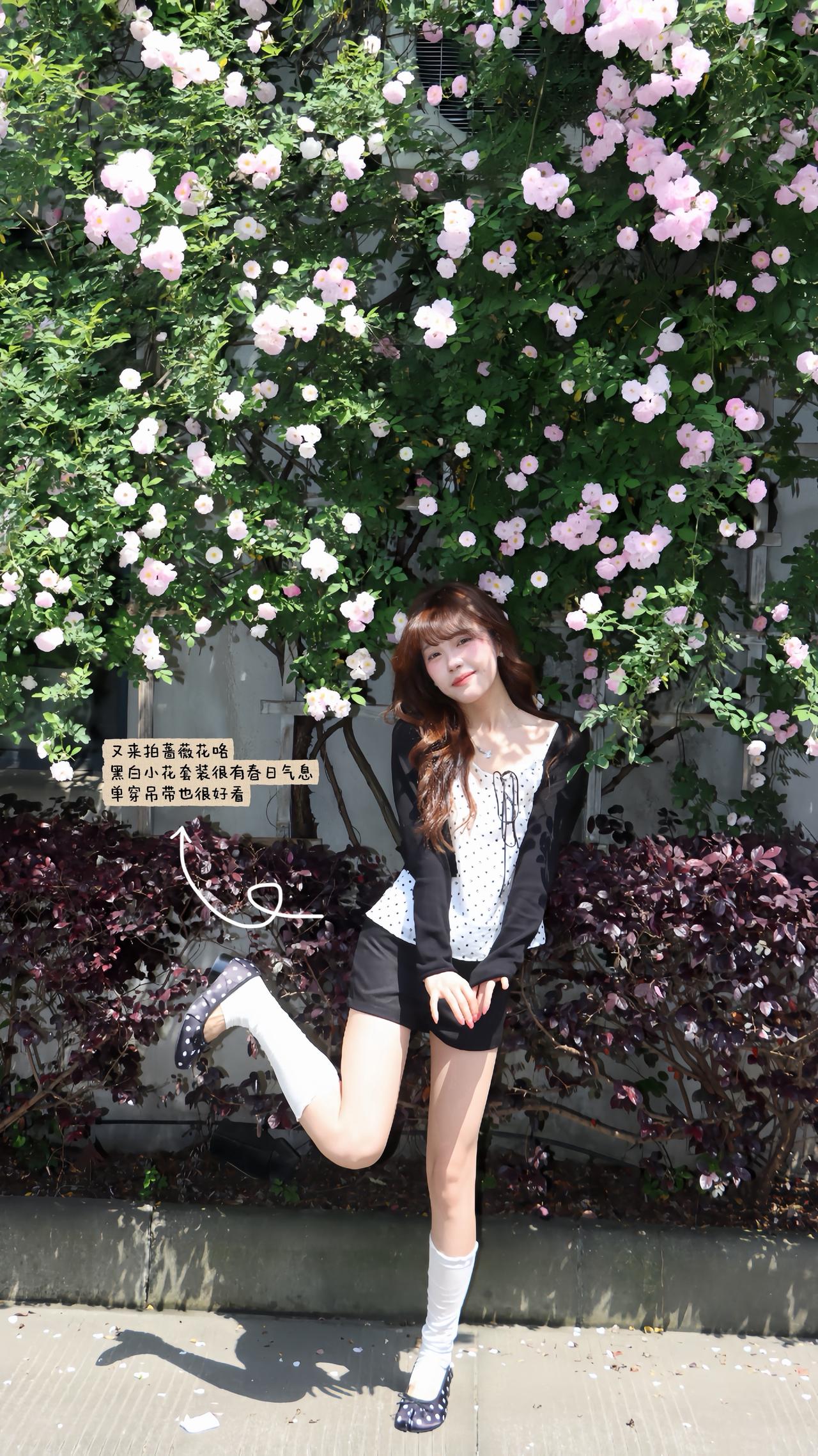 比美照更有杀伤力的是生命力
蔷薇花  购物欲大爆发