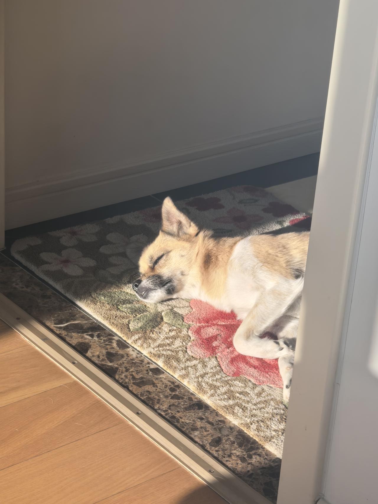 全球最长寿的老人，新疆的阿丽米罕·色依提，她出生于1886年6月25日，于202