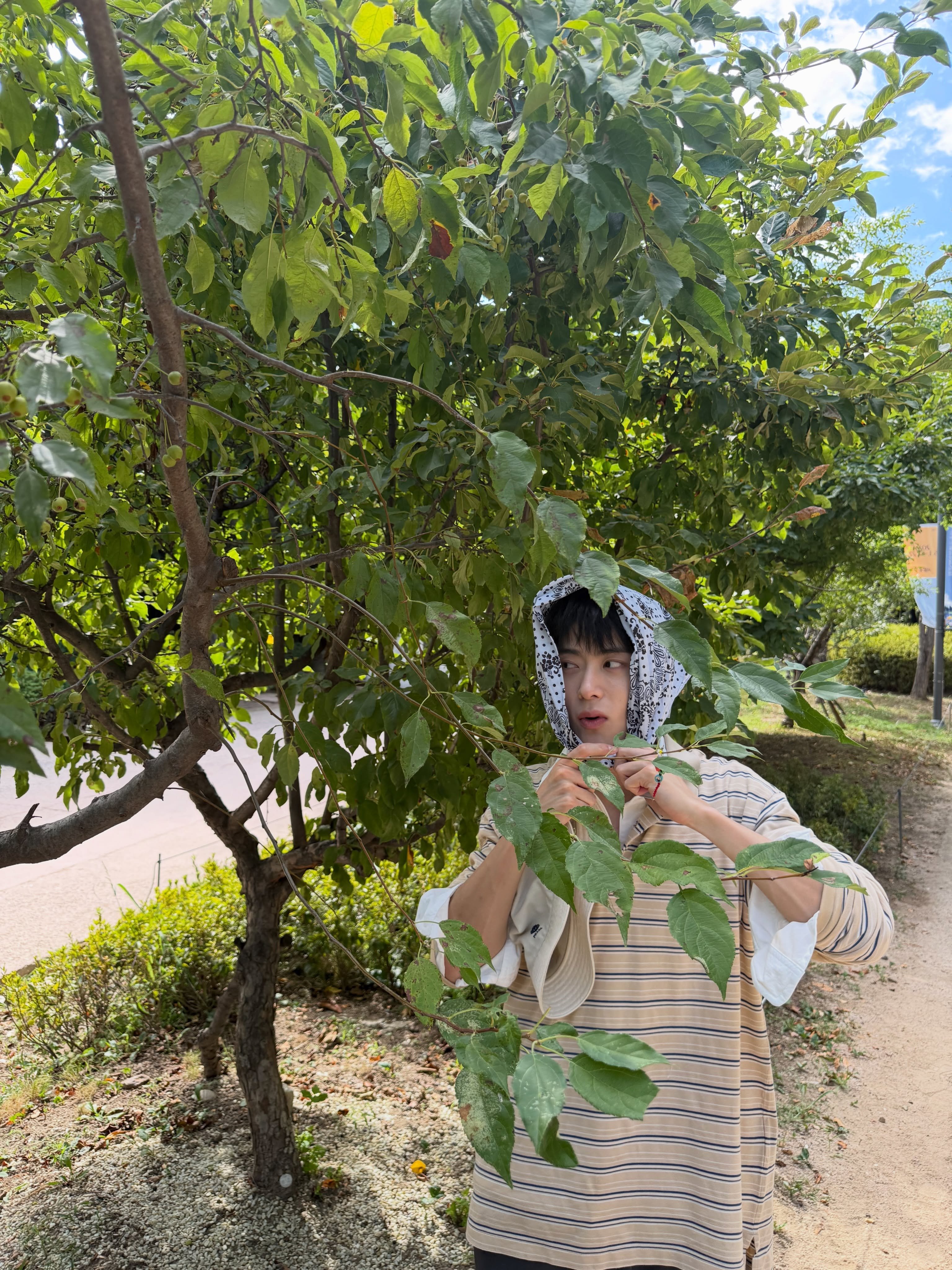 260812 | 在玹INS 更新【@ prada Prada PradaSum