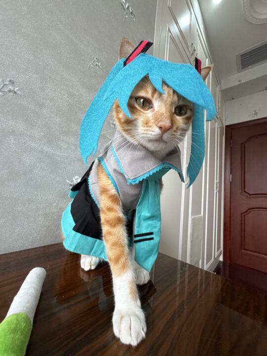 咪库