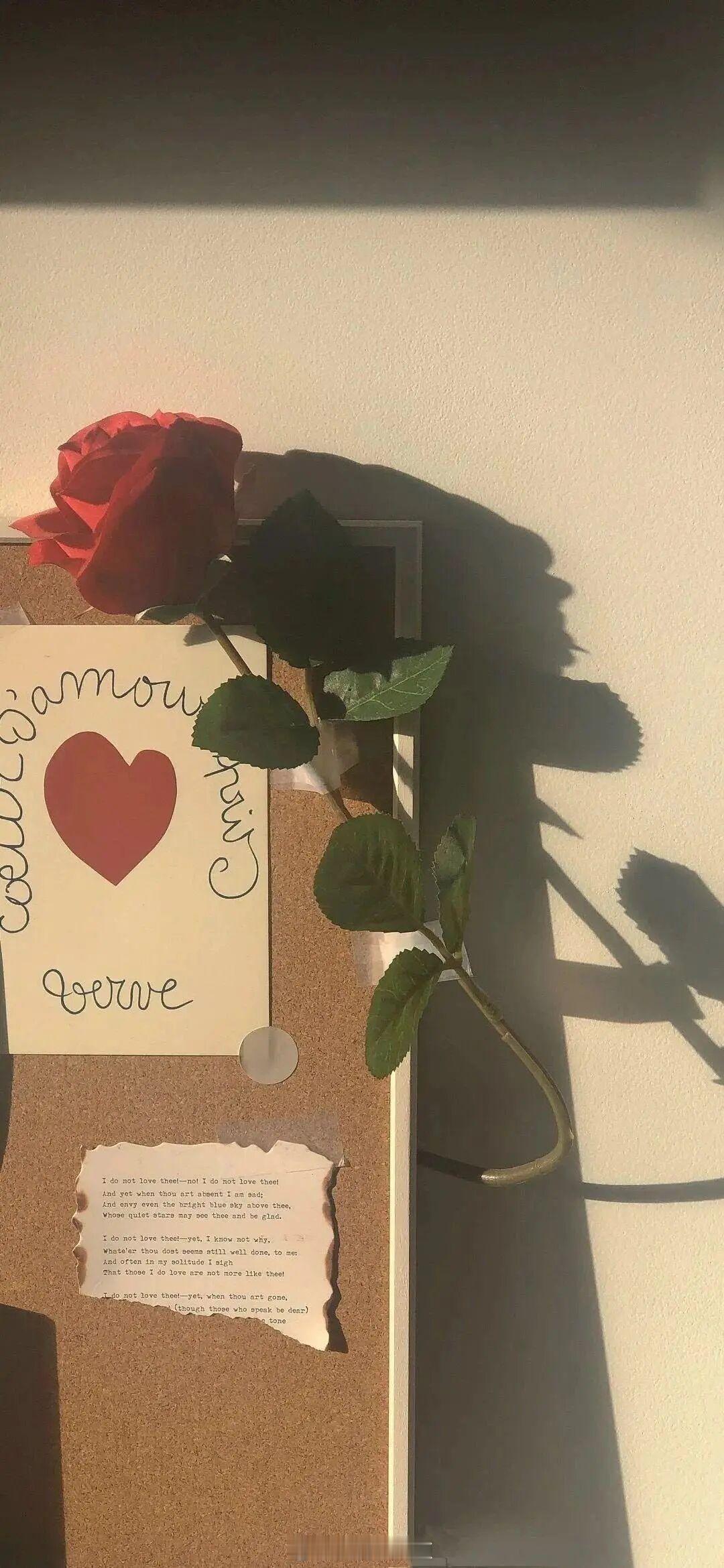 在某个癫狂、朦胧、隐晦的瞬间，有爱滋生。—— 塞巴斯蒂安·巴里《长日无尽》晚安