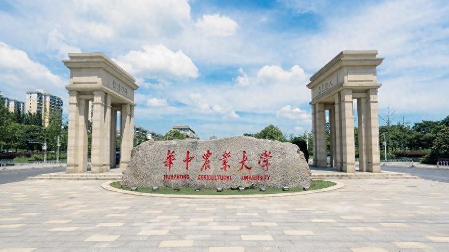 到底是经历了什么样的黑暗和挣扎，才会让11位中国农业的未来，放弃211硕士博士的