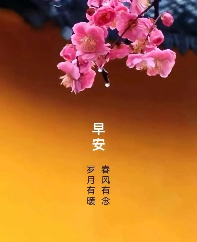 緣分是金，友誼似玉；
知心長久，總是牽掛；
保重身體，吉祥永伴。
早上好！[祈祷