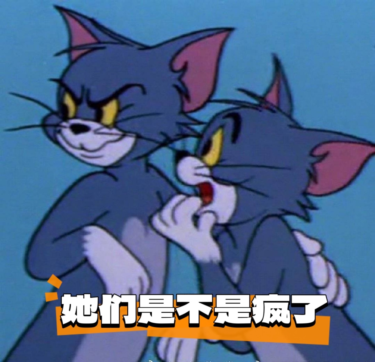 评论区怎么那么多人准备去南京看vnl 